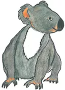 kita-zwerge-kupa-zeichnung