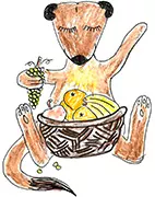 kita-zwerge-nala-zeichnung
